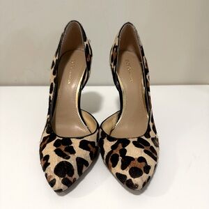 BCBG Leopard pumps